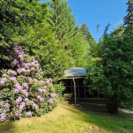 Villa Chalet De La Foret 1 A 6 Pers à Saint-Sauveur  Extérieur photo