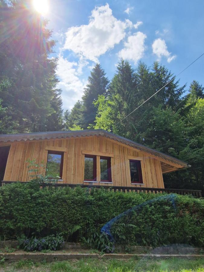 Chalet De La Foret 1 A 6 Pers Saint-Sauveur  Extérieur photo