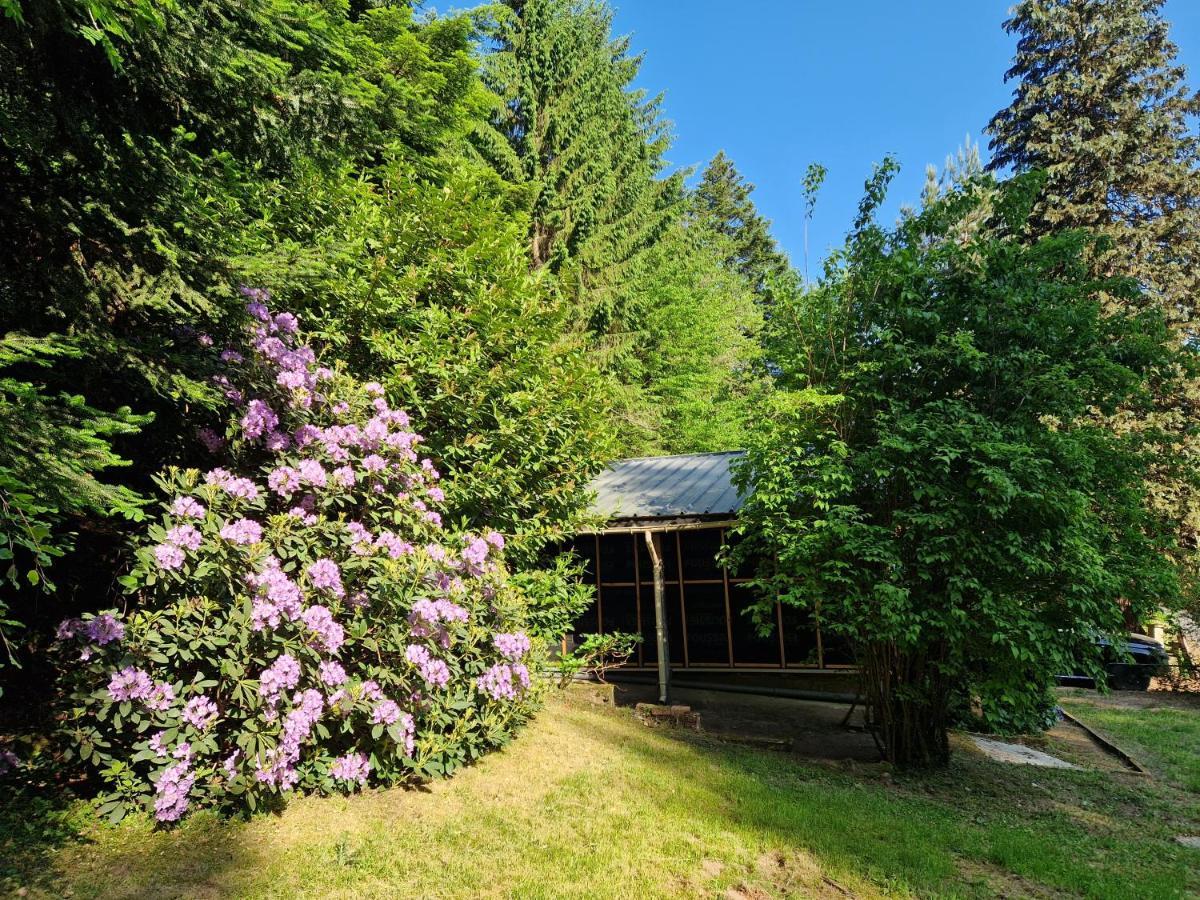 Villa Chalet De La Foret 1 A 6 Pers à Saint-Sauveur  Extérieur photo